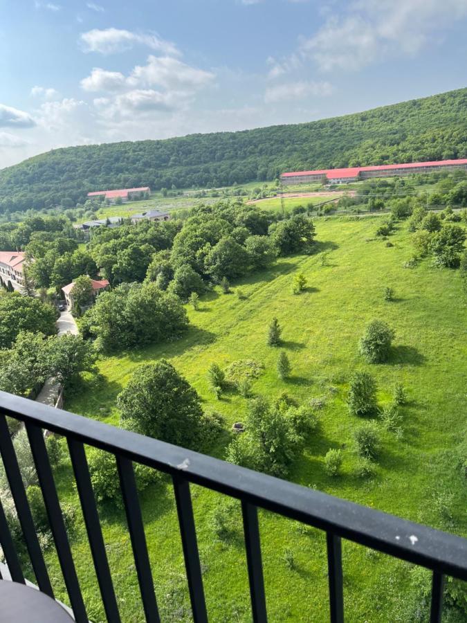 Цахкадзор, Tsaxkadzor, Kechi House apartment 300 Экстерьер фото